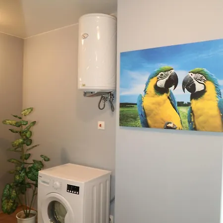 Daire Luxury First Line With Pool And Sea View In Complex Oazis *