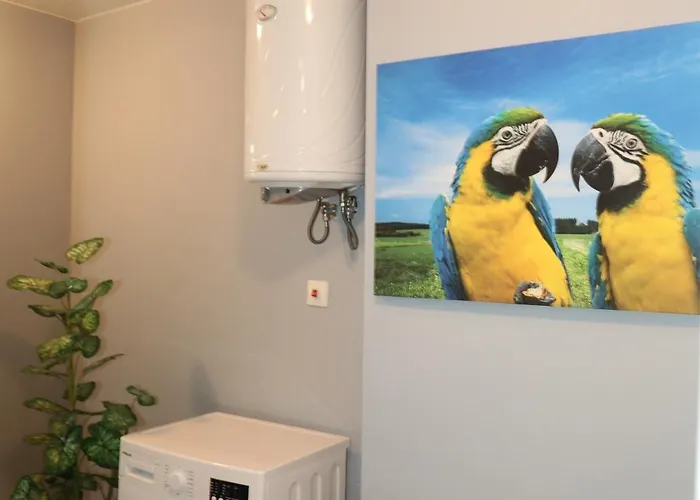 Apartament Luxury First Line With Pool And Sea View In Complex Oazis *